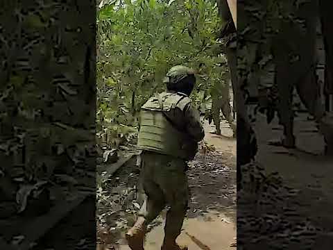 Operativo explosivo: 4 personas secuestradas liberadas en Los Ríos #noticiasecuador #quevedo #ffaa