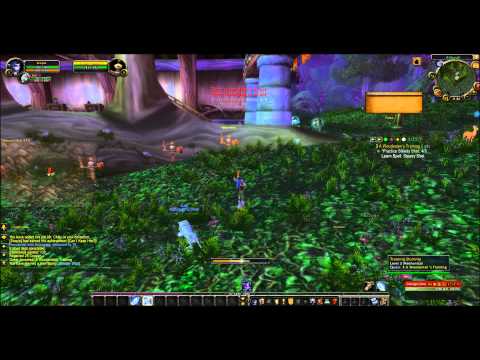 So You Want to Be a Hero? - WoW PvP Hunter - Part Two