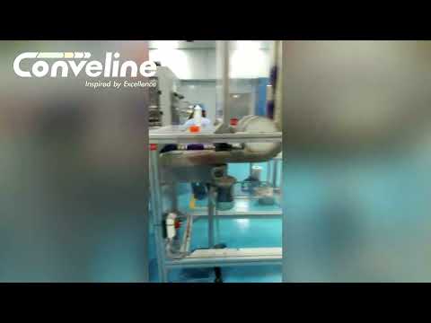 Flexible Chain Conveyor