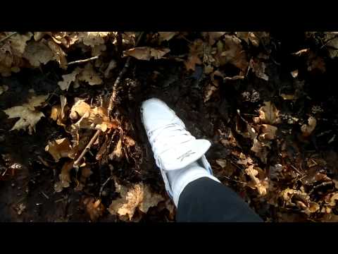 Adidas hard court hi and muddy