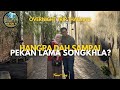 Berbaloi Ke 2H1M Di Hatyai Shopping Makan Old Town Songkhla Travel Vlog Thailand