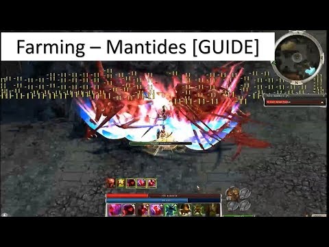 Guild Wars Farming - Mantides [Guide]