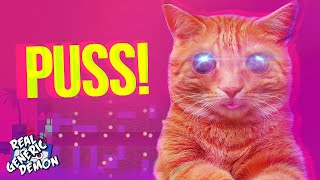 PUSS! 😺 - On a Puzzle Trip 🐈