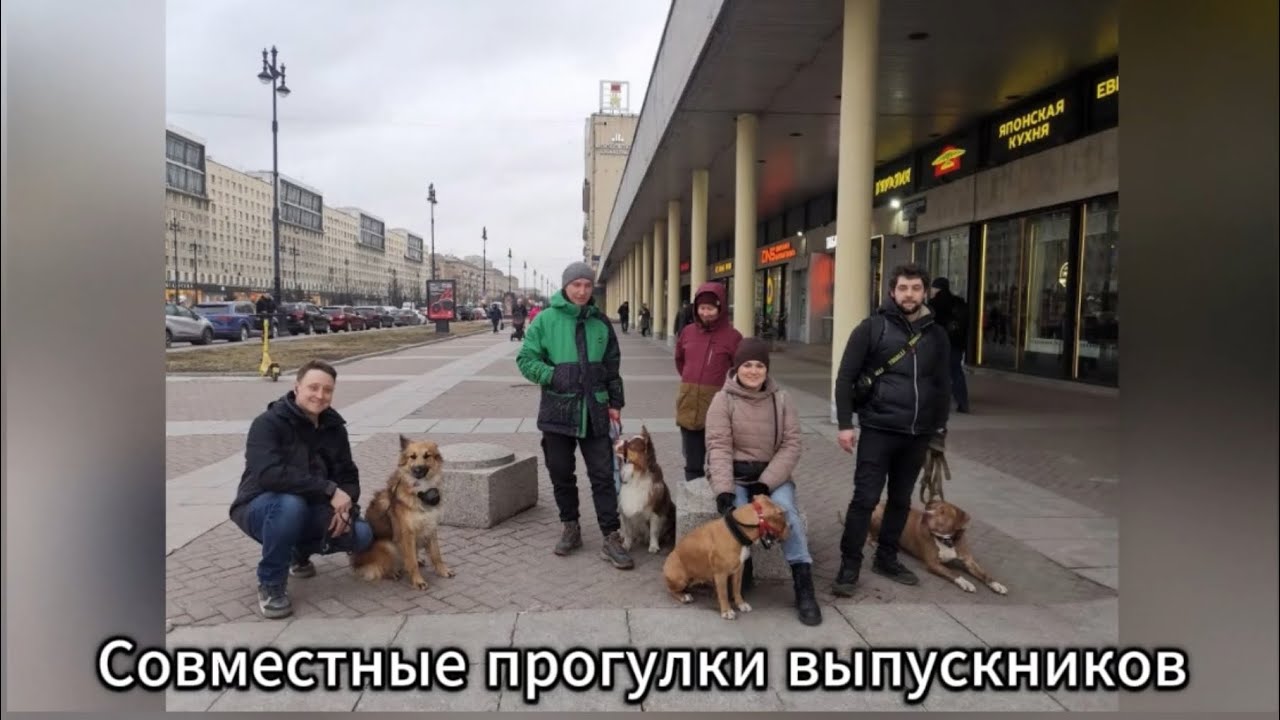 Подкаст с учеником ШАН ( Путь к гармонии )