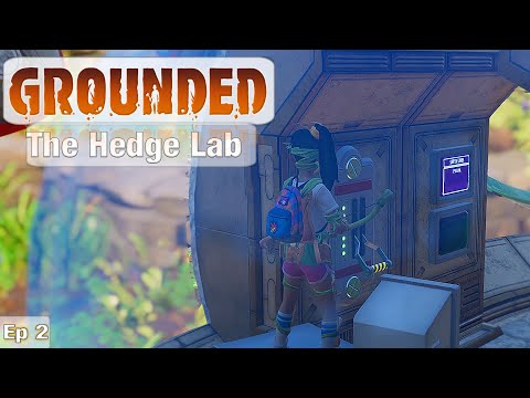 Grounded | Exploration of The Hedge Lab | Ep2