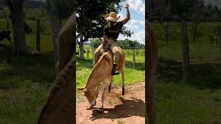 Cravo a rozeta, aí tem pulo 🔥🤠 #muladeiro
