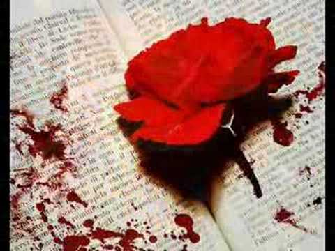 tantos deseos de ti los tigres de Bolivia