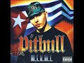Pitbull - I Wonder (Feat. Oobie)
