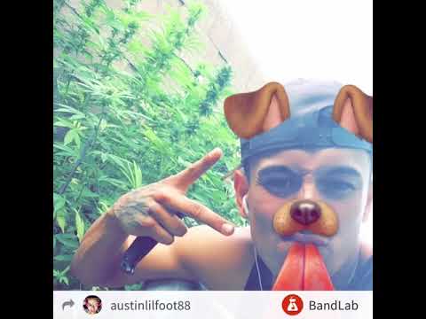 Squidnice “remix”