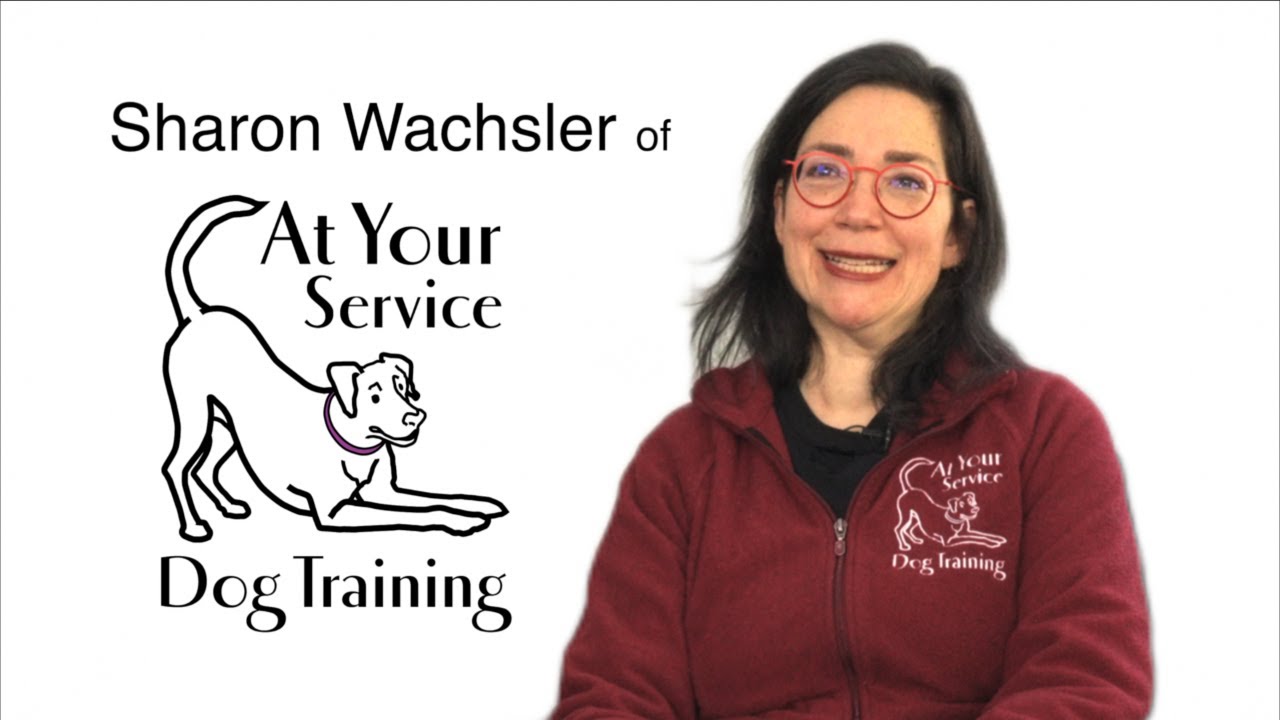 Meet the Trainer: Sharon Wachsler