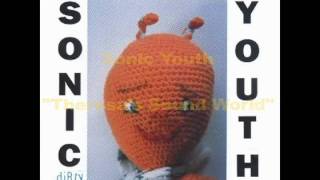 Sonic Youth - "theresa's sound world"