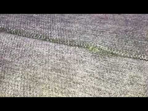 Bed bugs infest senior apartment in Belmar, Nj