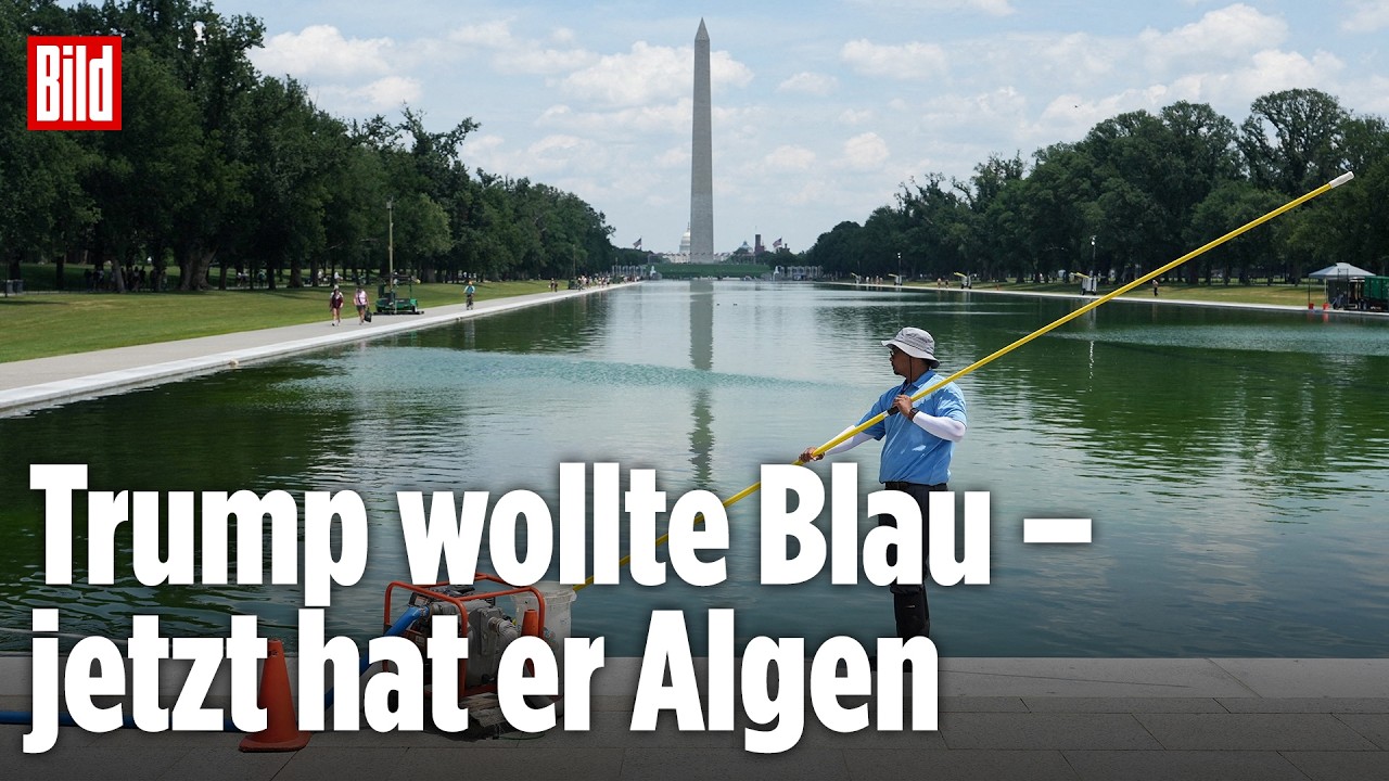 Sumpfgrün statt US-Blau: Trumps Prestige-Pool voller Algen