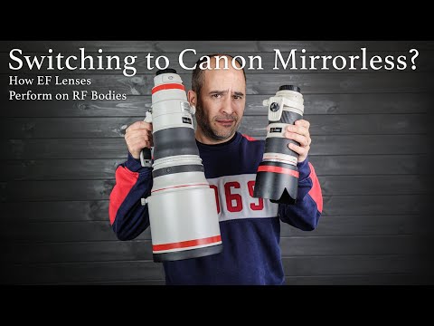 Switching to Canon Mirrorless? How EF Lenses Perform on RF Bodies
