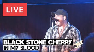 Black Stone Cherry | In My Blood | LIVE at The Borderline
