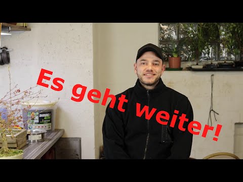 Restart mit einer "kleinen" Stellungsnahme von mir! Ein wenig Q&A ...........