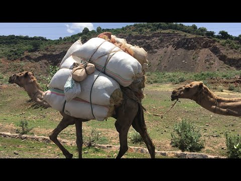 VOLHARDING 2 DESEMBER 2021