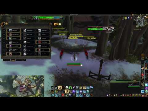 World of Warcraft Marksmanship (MM) Hunter RBG Guide Legion