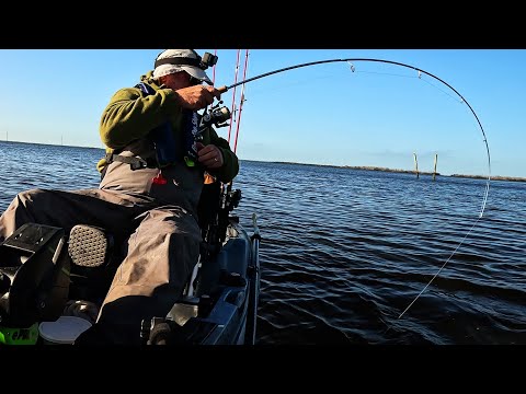 First Time Fishing This Bait - I'm Done Catching My Own Crabs!