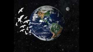 Burning The Ocean - Hollow And Hopeless