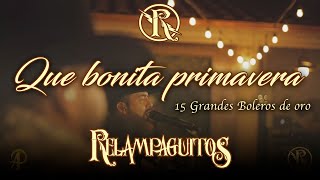 Que bonita primavera Relampaguitos