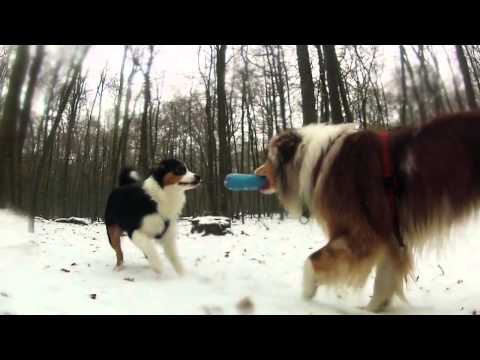 Aussierunde Dezember 2012