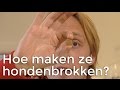Hoe worden hondenbrokken gemaakt? | Het Klokhuis