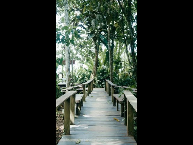 EL BOSQUE BISTRÓ