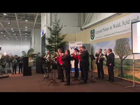 A Cheval - Jagdhornbläsergruppe Dwergte - Jagdhorn - Ventilhorn Jagdfanfare