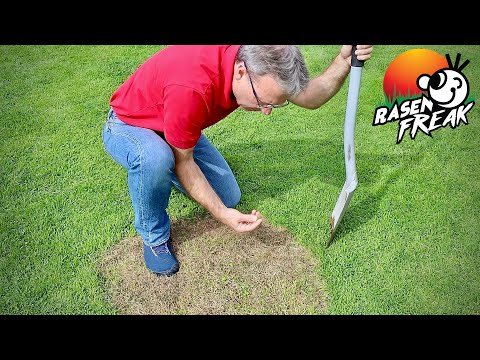 Was ist das für ein Gras? Der RASENFREAK analysiert die Rasenfläche eines Kollegen.