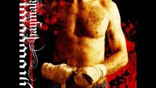 Throwdown  -  false idols