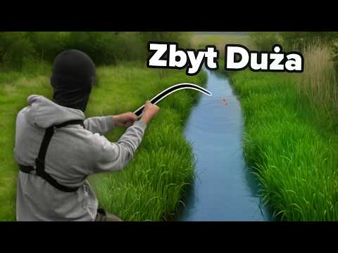 No Fishing Has Been Gone Here for 200 Years, But Big Fish Are Swimming Here!