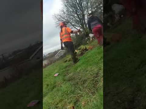 Tree Tech Arb & Forestry Services Ltd video.