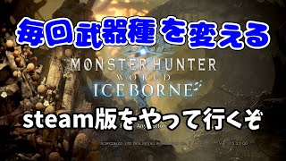 【モンハンワールド アイスボーン】やる