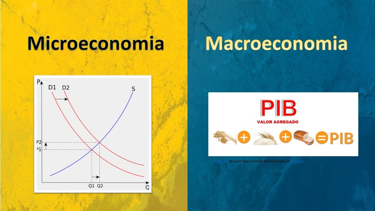 Aprenda as diferenças entre a Macroeconomia e a Microeconomia