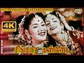 சிங்கார கண்ணே உன் தேனூறும் சொல்லாலே Si