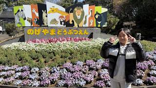 レオくんがおでかけしてみた！野毛山動物園！ Part104 レオスマイル
