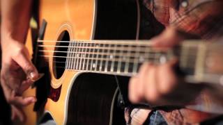 7423 ACOUSTIC PHOSPHOR BRONZE BLUEGRASS (12-56), зображення 1