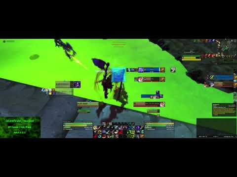 BM Hunter / Holy Priest 2v2 Arena 9.0.5