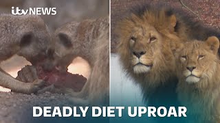 Re: [問題] 退役賽馬會被棄養嗎？