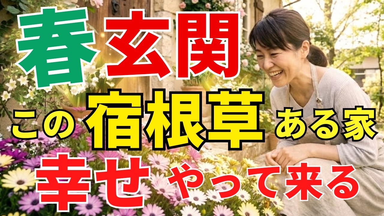 【幸せ運ぶ春の花】玄関に置くだけ8選を風水アドバイザーが解説