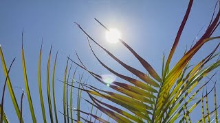 Download lagu What to know about dealing with Seasonal Affective Disorder in the summer mp3