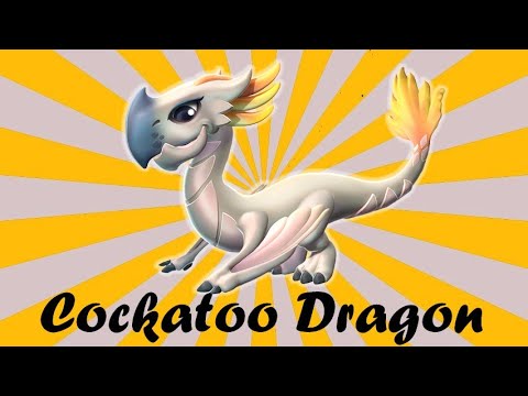 How to Breed  Enchantment "COCKATOO DRAGON" | Dragon Mania Legends |