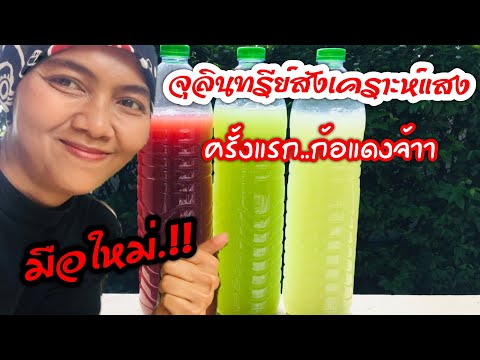 จุลินทรีย์สังเคราะห์แสงสีแดง จุลินทรีย์สังเคราะห์แสงสีเขียว สวยงามไม่แพ้มืออาชีพ ครั้งแรกหัดทำ