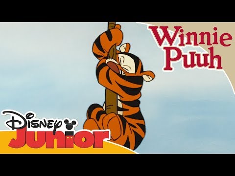 Kleine Abenteuer mit Winnie Puuh - Wo Tiggers am bestesten sind | Disney Junior