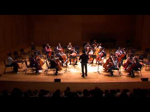 Pizzicato Polka; J. Strauss; Cellocyl 2012