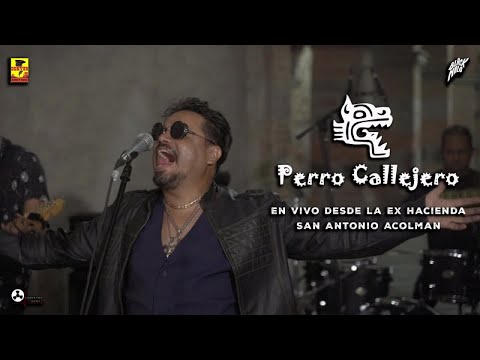 Perro Callejero - En Vivo Desde La Ex Hacienda San Antonio Acolman