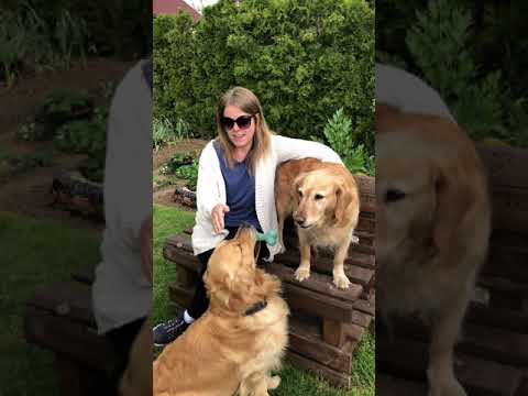 Aneta Špačková nahrává svou druhou píseň a videoklip