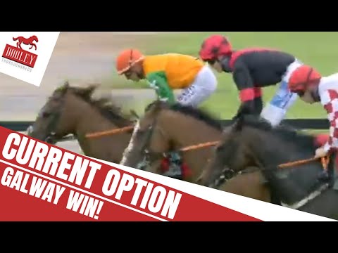 Current Option Wins At Galways | The Irish Stallion Farms EBF ‘Ahonoora’ Handicap