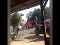 Barongan Galak